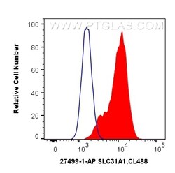 SLC31A1 Rabbit Polyclonal Antibody, Proteintech:Antibodies:Primary Antibodies