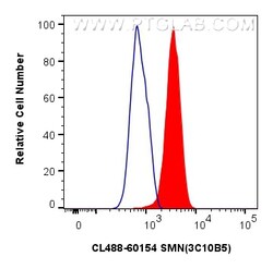 CoraLite Plus 488-conjugated SMN (Human,Mouse,Rat) Mouse Monoclonal Antibody,