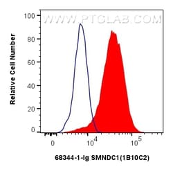 SMNDC1 Mouse Monoclonal Antibody, Proteintech Unconjugated; 20 &mu;L:Antibodies,