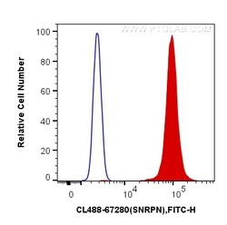 CoraLite Plus 488-conjugated SNRPN Mouse Monoclonal Antibody, Proteintech 100 &mu;L | Buy Online | Proteintech | Fisher Scientific