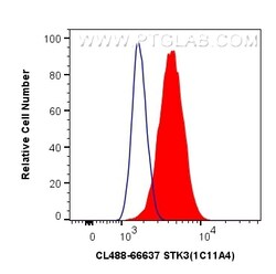 CoraLite Plus 488-conjugated STK3 Mouse Monoclonal Antibody, Proteintech