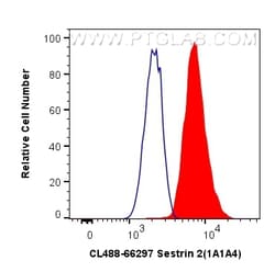 CoraLite Plus 488-conjugated Sestrin 2 Mouse Monoclonal Antibody, Proteintech 20 &mu;L | Buy Online | Proteintech | Fisher Scientific