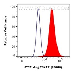 TBXAS1 Mouse Monoclonal Antibody, Proteintech:Antibodies:Primary Antibodies