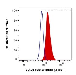 CoraLite Plus 488-conjugated TDRKH Mouse Monoclonal Antibody, Proteintech:Antibodies:Primary