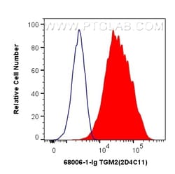 TGM2 Mouse Monoclonal Antibody, Proteintech:Antibodies:Primary Antibodies