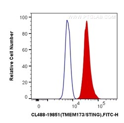 CoraLite Plus 488-conjugated TMEM173/STING Rabbit Polyclonal Antibody,