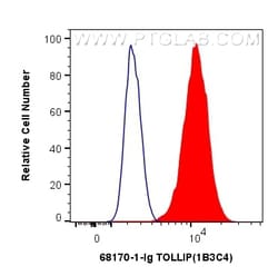 TOLLIP Mouse Monoclonal Antibody, Proteintech Unconjugated; 150 &mu;L:Antibodies,