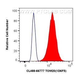 CoraLite Plus 488-conjugated TOM20 Mouse Monoclonal Antibody, Proteintech:Antibodies:Primary