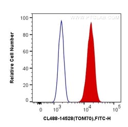 CoraLite Plus 488-conjugated TOM70 Rabbit Polyclonal Antibody, Proteintech:Antibodies:Primary