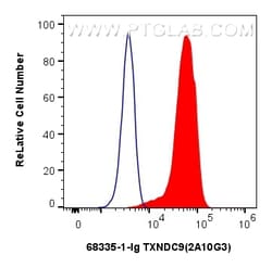 TXNDC9 Mouse Monoclonal Antibody, Proteintech Unconjugated; 150 &mu;L:Antibodies,