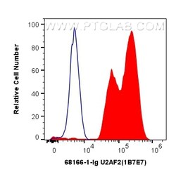 U2AF2/U2AF65 Mouse Monoclonal Antibody, Proteintech:Antibodies:Primary