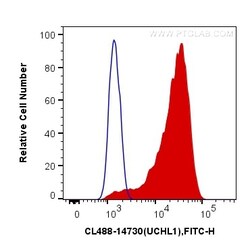 CoraLite Plus 488-conjugated UCH-L1/PGP9.5 Rabbit Polyclonal Antibody,