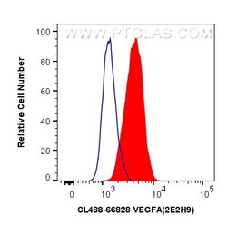 CoraLite Plus 488-conjugated VEGFA Mouse Monoclonal Antibody, Proteintech