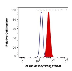 CoraLite Plus 488-conjugated YES1 Mouse Monoclonal Antibody, Proteintech