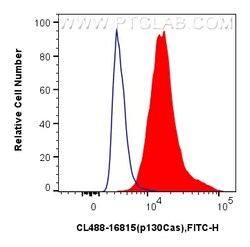 CoraLite™ Plus 488-conjugated p130Cas / BCAR1 Rabbit Polyclonal Antibody, Proteintech