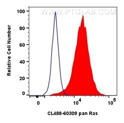 CoraLite Plus 488-conjugated pan Ras Mouse Monoclonal Antibody, Proteintech