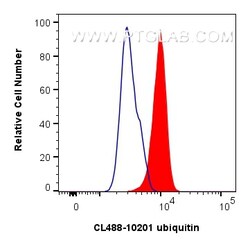 CoraLite Plus 488-conjugated ubiquitin Rabbit Polyclonal Antibody, Proteintech:Antibodies:Primary