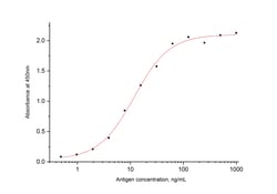 SARS-CoV-2 Nucleocapsid Phosphoprotein Mouse Monoclonal Antibody, Proteintech