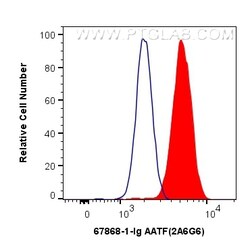 AATF Mouse Monoclonal Antibody, Proteintech:Antibodies:Primary Antibodies