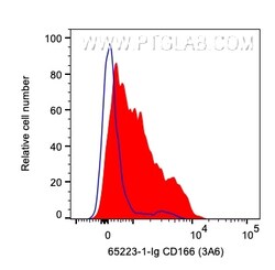 Anti-Human ALCAM (3A6), Proteintech Unconjugated; 500 &mu;g:Antibodies,