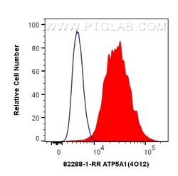 ATP5A1 Rabbit Recombinant Antibody, Proteintech Unconjugated; 100 &mu;L:Antibodies,
