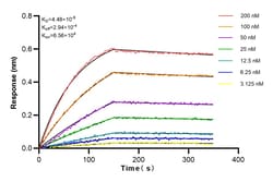 TCTN2 Rabbit Recombinant Antibody, Proteintech:Antibodies:Primary Antibodies