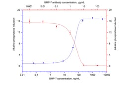 NeutraKine BMP-7 Mouse Monoclonal Antibody, Proteintech Unconjugated; 25