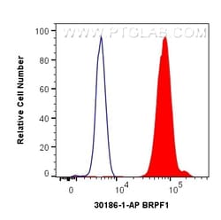 BRPF1 Rabbit Polyclonal Antibody, Proteintech:Antibodies:Primary Antibodies