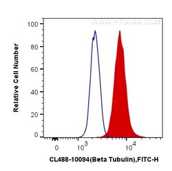 CoraLite Plus 488-conjugated Beta Tubulin Rabbit Polyclonal Antibody, Proteintech:Antibodies:Primary
