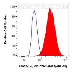 Anti-Mouse CD107b / LAMP2 (ABL-93), Proteintech 500 &mu;g | Buy Online | Proteintech | Fisher Scientific