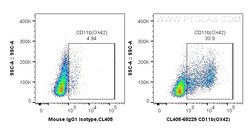 CoraLite Plus 405 Anti-Rat CD11b (OX42), Proteintech 100 &mu;g | Buy Online | Proteintech | Fisher Scientific