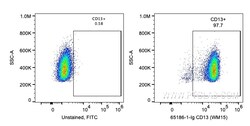 Anti-Human CD13 (WM15), Proteintech Unconjugated; 500 &mu;g:Antibodies,