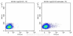Proteintech Anti-Human TNFRSF9/CD137 (4B4-1), Proteintech