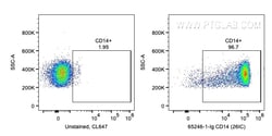 Anti-Human CD14 (26IC), Proteintech:Antibodies:Primary Antibodies