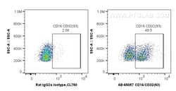 Atlantic Blue Anti-Mouse CD16/32 (93), Proteintech Atlantic Blue&trade;;