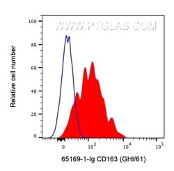 Anti-Human CD163 (GHI/61), Proteintech Unconjugated; 100 &mu;g:Antibodies,