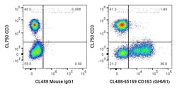 CoraLite Plus 488 Anti-Human CD163 (GHI/61), Proteintech CoraLite&trade;