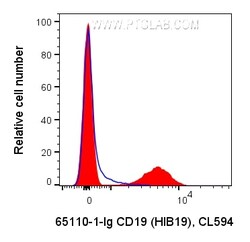 Anti-Human CD19 (HIB19), Proteintech Unconjugated; 100 &mu;g:Antibodies,