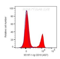 Anti-Human CD19 (4G7), Proteintech Unconjugated; 100 &mu;g:Antibodies,