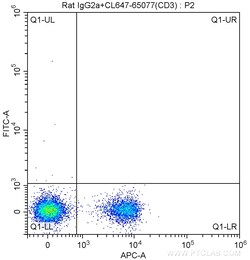 Anti-Mouse CD197 (4B12), Proteintech Unconjugated; 100 &mu;g:Antibodies,