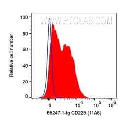 Anti-Human CD226 (11A8), Proteintech:Antibodies:Primary Antibodies