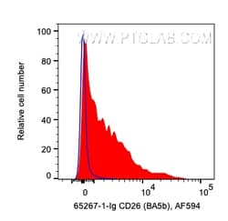 Anti-Human DPP4/CD26 (BA5b), Proteintech Unconjugated; 100 &mu;g:Antibodies,
