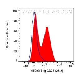 Anti-Human CD28 (CD28.2), Proteintech Unconjugated; 500 &mu;g:Antibodies,