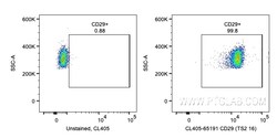 CoraLite Plus 405 Anti-Human CD29 (TS2/16), Proteintech CoraLite&trade;