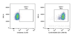 CoraLite™ Plus 405 Anti-Human CD31 (WM-59), Proteintech