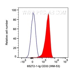 Anti-Human CD33 (WM53), Proteintech Unconjugated; 500 &mu;g:Anticorps,