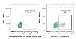 Proteintech Atlantic Blue™ Anti-Mouse CD49b (HMA2), Proteintech