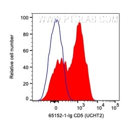 Anti-Human CD5 (UCHT2), Proteintech Unconjugated; 500 &mu;g:Antibodies,