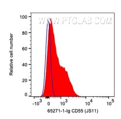 Anti-Human CD55 (JS11), Proteintech:Antibodies:Primary Antibodies