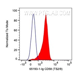 Anti-Human CD58 (TS2/9), Proteintech Unconjugated; 500 &mu;g:Antibodies,